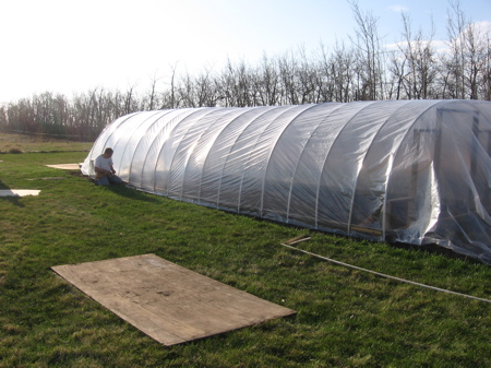 Covering the greenhouse