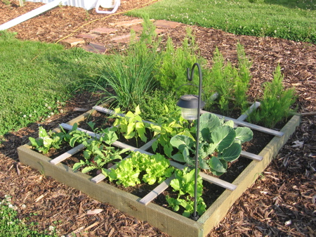 How to Make a Square Foot Garden  Alberta Home Gardening