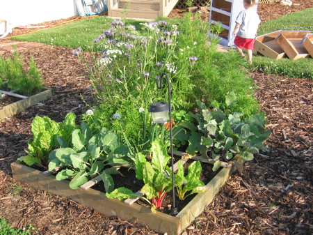 Square Foot Gardening on How To Make A Square Foot Garden   Alberta Home Gardening