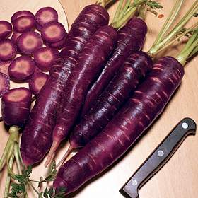 Purple Dragon Carrots Purple Dragon Carrots