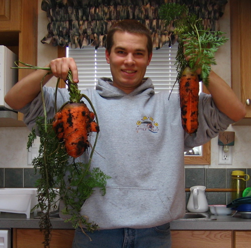 Scarlet Nantes and Red Danver Carrots