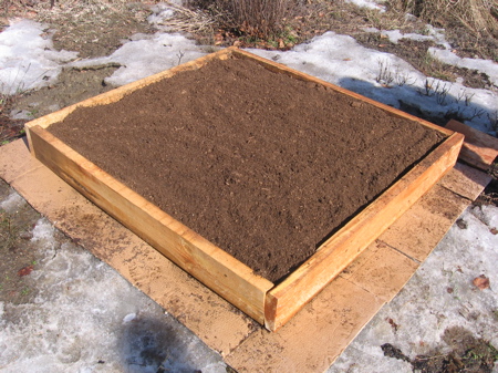 Square Foot Garden