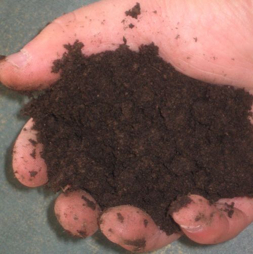 Finished Compost Finished Compost