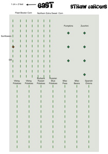 Straw Garden Plan 2008 (pdf)