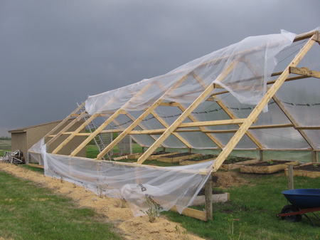 Greenhouse plastic ripped in two