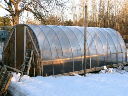 Nova Scotia Greenhouse