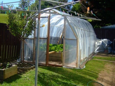 Hoop Frame Greenhouse in New Zealand